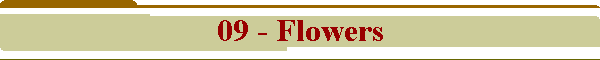 09 - Flowers